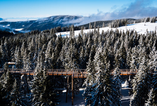 Panoramski let: Koroška, Rogla in Pohorje